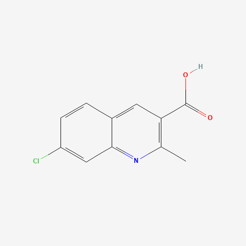 7-chloro-2-methylquinoline-3-carboxylic acid (CAS: 171270-39-6) - Related Chemical Product