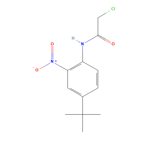 N-(4-tert-butyl-2-nitrophenyl)-2-chloroacetamide (CAS: 680213-46-1) - Related Chemical Product