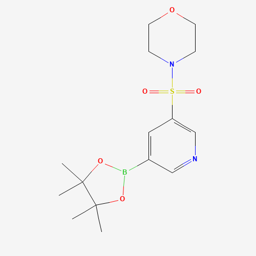 4-[5-(4,4,5,5-tetramethyl-1,3,2-dioxaborolan-2-yl)pyridin-3-yl]sulfonylmorpholine (CAS: 1093819-54-5) - Related Chemical Product