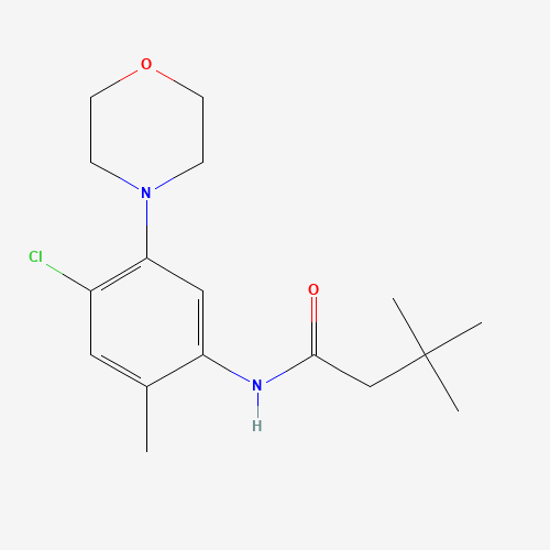 N-(4-chloro-2-methyl-5-morpholin-4-ylphenyl)-3,3-dimethylbutanamide (CAS: 1007226-97-2) - Related Chemical Product