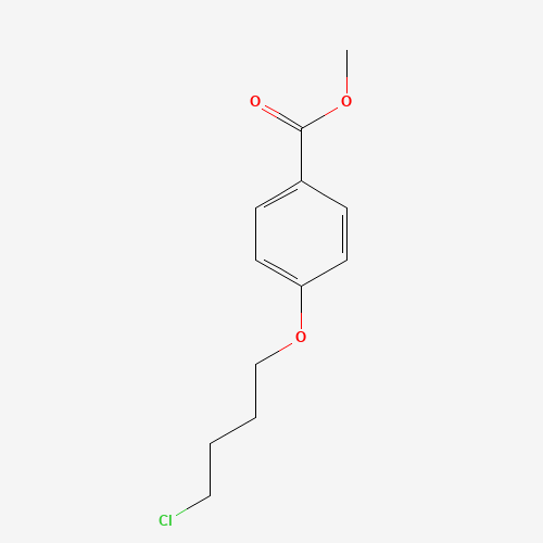 methyl 4-(4-chlorobutoxy)benzoate (CAS: 104605-71-2) - Related Chemical Product