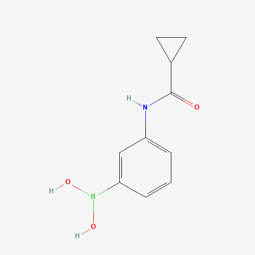 [3-(cyclopropanecarbonylamino)phenyl]boronic acid (CAS: 934543-06-3) - Chemical Structure and Molecular Formula 