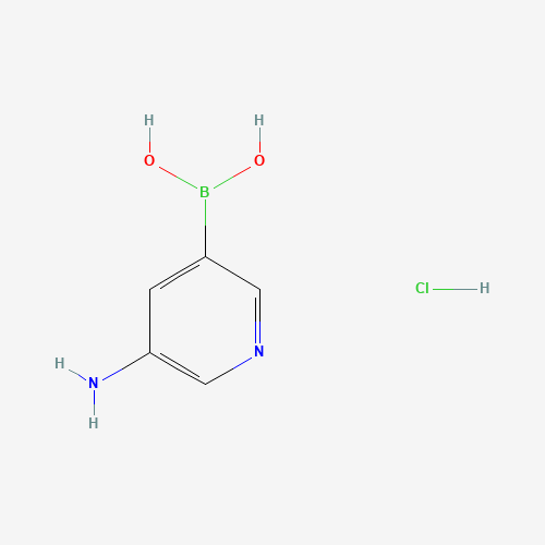 (5-aminopyridin-3-yl)boronic acid;hydrochloride (CAS: 1310384-34-9) - Related Chemical Product