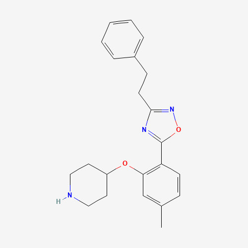 5-(4-methyl-2-piperidin-4-yloxyphenyl)-3-(2-phenylethyl)-1,2,4-oxadiazole (CAS: 1443208-65-8) - Chemical Structure and Molecular Formula 