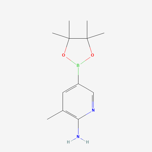 3-methyl-5-(4,4,5,5-tetramethyl-1,3,2-dioxaborolan-2-yl)pyridin-2-amine (CAS: 1111637-91-2) - Related Chemical Product
