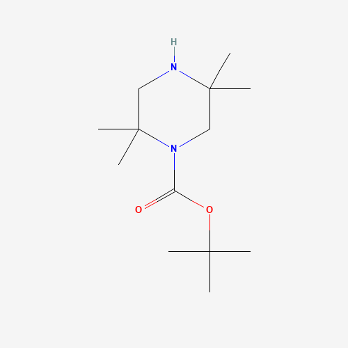 tert-butyl 2,2,5,5-tetramethylpiperazine-1-carboxylate (CAS: 1443741-43-2) - Chemical Structure and Molecular Formula 