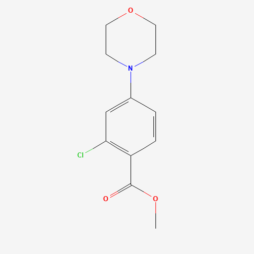 methyl 2-chloro-4-morpholin-4-ylbenzoate (CAS: 175153-39-6) - Related Chemical Product