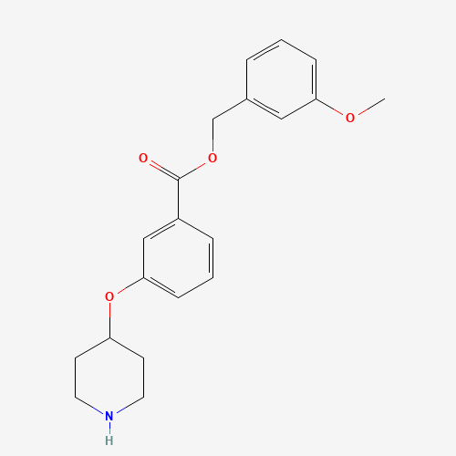 (3-methoxyphenyl)methyl 3-piperidin-4-yloxybenzoate (CAS: 1443208-34-1) - Related Chemical Product