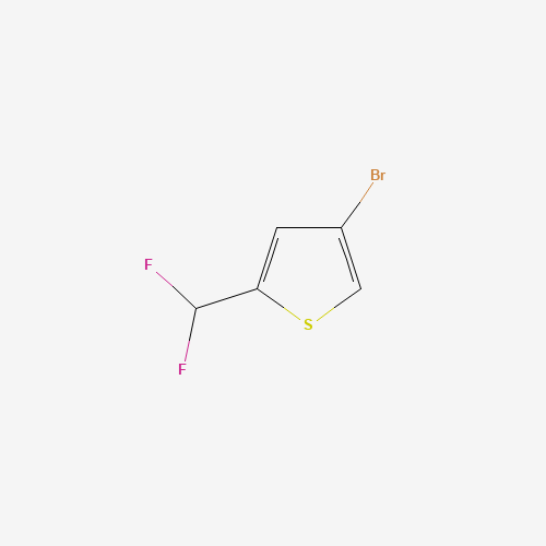 4-bromo-2-(difluoromethyl)thiophene (CAS: 627526-93-6) - Chemical Structure and Molecular Formula 