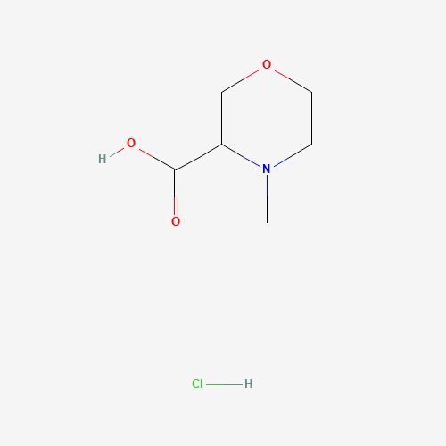 4-methylmorpholine-3-carboxylic acid;hydrochloride (CAS: 1240518-90-4) - Related Chemical Product