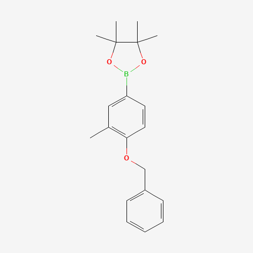 4,4,5,5-tetramethyl-2-(3-methyl-4-phenylmethoxyphenyl)-1,3,2-dioxaborolane (CAS: 1257078-80-0) - Related Chemical Product