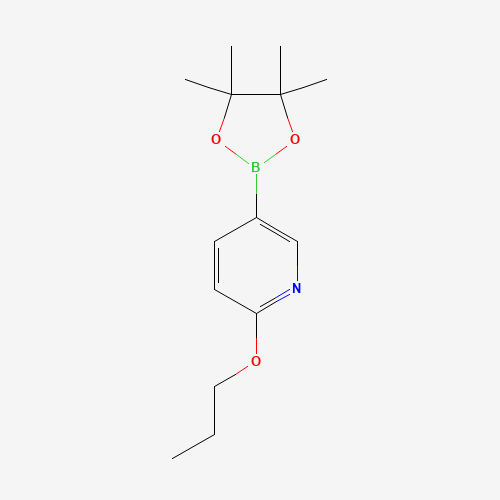 2-propoxy-5-(4,4,5,5-tetramethyl-1,3,2-dioxaborolan-2-yl)pyridine (CAS: 1257553-85-7) - Related Chemical Product