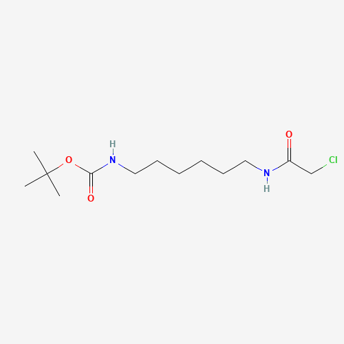tert-butyl N-[6-[(2-chloroacetyl)amino]hexyl]carbamate (CAS: 201282-04-4) - Related Chemical Product