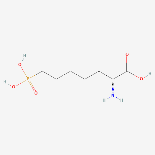 (2R)-2-amino-7-phosphonoheptanoic acid (CAS: 81338-23-0) - Related Chemical Product