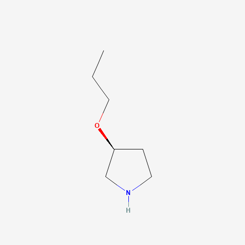 (3S)-3-propoxypyrrolidine (CAS: 880361-94-4) - Chemical Structure and Molecular Formula 