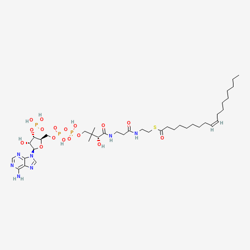 S-[2-[3-[[(2R)-4-[[[(2R,3S,4R,5R)-5-(6-aminopurin-9-yl)-4-hydroxy-3-phosphonooxyoxolan-2-yl]methoxy-hydroxyphosphoryl]oxy-hydroxyphosphoryl]oxy-2-hydroxy-3,3-dimethylbutanoyl]amino]propanoylamino]ethyl] (Z)-octadec-9-enethioate (CAS: 1716-06-9) - Chemical Structure and Molecular Formula 
