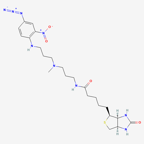 5-[(3aS,4S,6aR)-2-oxo-1,3,3a,4,6,6a-hexahydrothieno[3,4-d]imidazol-4-yl]-N-[3-[3-(4-azido-2-nitroanilino)propyl-methylamino]propyl]pentanamide (CAS: 96087-37-5) - Related Chemical Product
