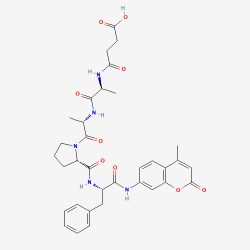 4-[[(2S)-1-[[(2S)-1-[(2S)-2-[[(2S)-1-[(4-methyl-2-oxochromen-7-yl)amino]-1-oxo-3-phenylpropan-2-yl]carbamoyl]pyrrolidin-1-yl]-1-oxopropan-2-yl]amino]-1-oxopropan-2-yl]amino]-4-oxobutanoic acid (CAS: 88467-45-2) - Related Chemical Product