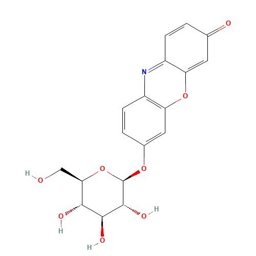 7-[(2S,3R,4S,5S,6R)-3,4,5-trihydroxy-6-(hydroxymethyl)oxan-2-yl]oxyphenoxazin-3-one (CAS: 101490-85-1) - Related Chemical Product