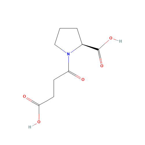 (2S)-1-(3-carboxypropanoyl)pyrrolidine-2-carboxylic acid (CAS: 63250-32-8) - Related Chemical Product