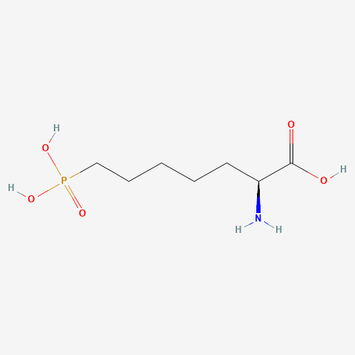 (2S)-2-amino-7-phosphonoheptanoic acid (CAS: 81338-24-1) - Related Chemical Product