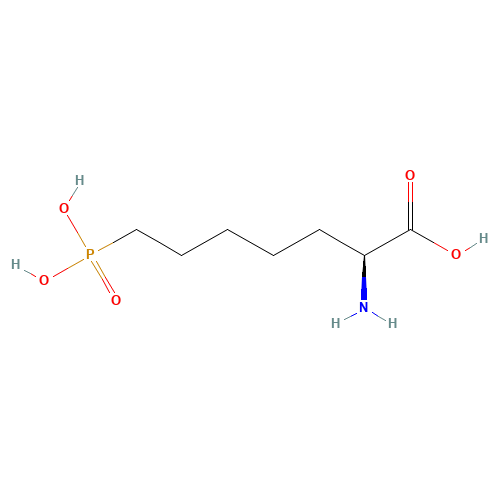 (2S)-2-amino-7-phosphonoheptanoic acid (CAS: 81338-24-1) - Related Chemical Product