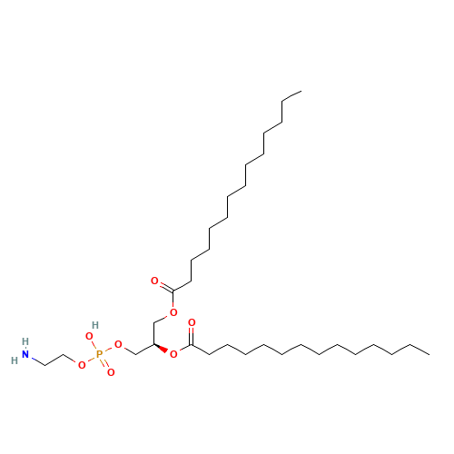 [(2R)-3-[2-aminoethoxy(hydroxy)phosphoryl]oxy-2-tetradecanoyloxypropyl] tetradecanoate (CAS: 998-07-2) - Related Chemical Product