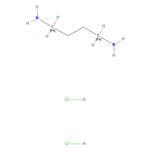 butane-1,4-diamine;dihydrochloride (CAS: 69102-07-4) - Related Chemical Product