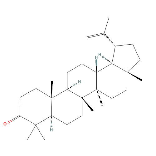 (1R,3aR,5aR,5bR,7aR,11aR,11bR,13aR,13bR)-3a,5a,5b,8,8,11a-hexamethyl-1-prop-1-en-2-yl-2,3,4,5,6,7,7a,10,11,11b,12,13,13a,13b-tetradecahydro-1H-cyclopenta[a]chrysen-9-one (CAS: 1617-70-5) - Related Chemical Product