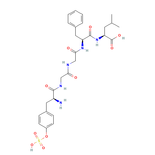 (2S)-2-[[(2S)-2-[[2-[[2-[[(2S)-2-amino-3-(4-sulfooxyphenyl)propanoyl]amino]acetyl]amino]acetyl]amino]-3-phenylpropanoyl]amino]-4-methylpentanoic acid (CAS: 80632-52-6) - Related Chemical Product