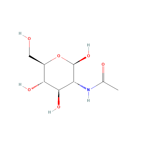 N-ACETYL-beta-D-GLUCOSAMINE (CAS: 14131-68-1) - Chemical Structure and Molecular Formula 