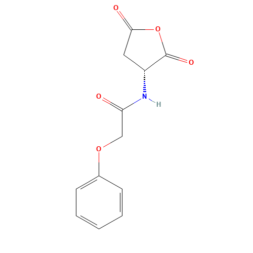 N-[(3R)-2,5-dioxooxolan-3-yl]-2-phenoxyacetamide (CAS: 4515-22-4) - Chemical Structure and Molecular Formula 