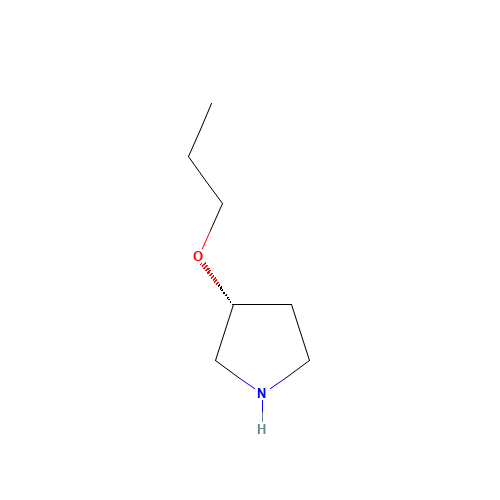(3R)-3-propoxypyrrolidine (CAS: 849924-75-0) - Related Chemical Product