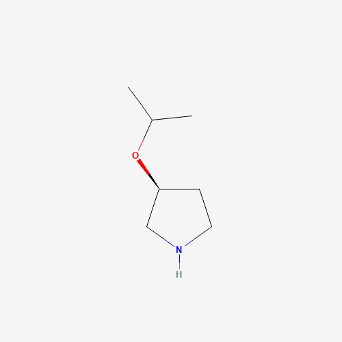 (3S)-3-propan-2-yloxypyrrolidine (CAS: 1016167-98-8) - Related Chemical Product