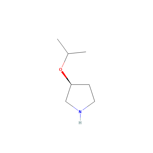(3S)-3-propan-2-yloxypyrrolidine (CAS: 1016167-98-8) - Related Chemical Product