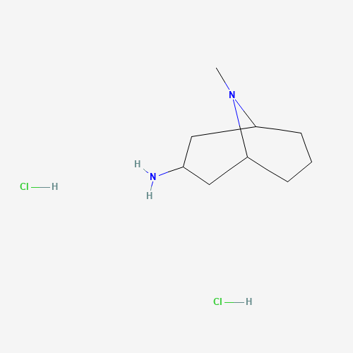 (1R,5S)-9-methyl-9-azabicyclo[3.3.1]nonan-3-amine;dihydrochloride (CAS: 906081-58-1) - Chemical Structure and Molecular Formula 
