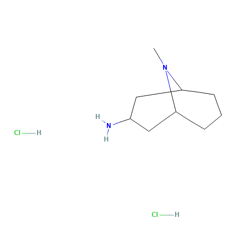 (1R,5S)-9-methyl-9-azabicyclo[3.3.1]nonan-3-amine;dihydrochloride (CAS: 906081-58-1) - Chemical Structure and Molecular Formula 