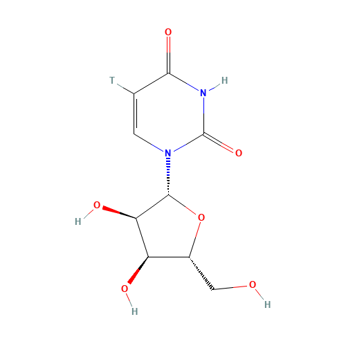 1-[(2R,3R,4S,5R)-3,4-dihydroxy-5-(hydroxymethyl)oxolan-2-yl]-5-tritiopyrimidine-2,4-dione (CAS: 3705-45-1) - Related Chemical Product