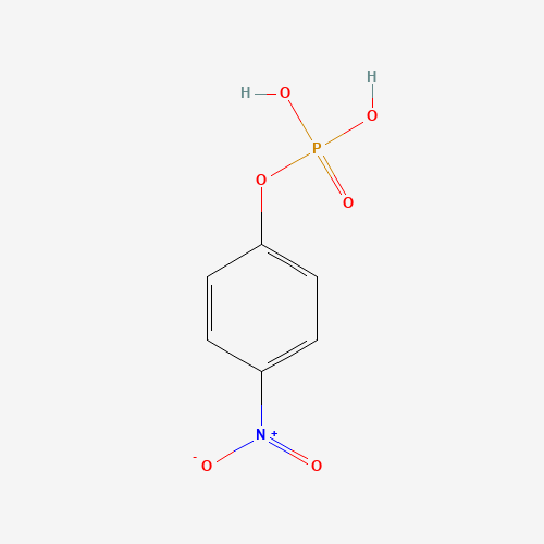PNPP (CAS: 330-13-2) - Related Chemical Product