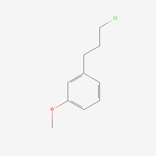1-(3-chloropropyl)-3-methoxybenzene (CAS: 91817-84-4) - Related Chemical Product