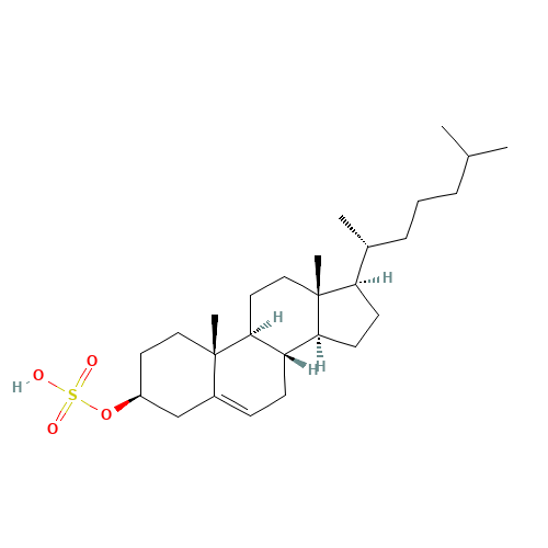Cholesterol sulfate (CAS: 1256-86-6) - Related Chemical Product