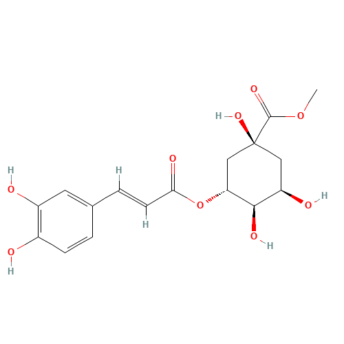 3-O-Caffeoylquinic acid methyl ester (CAS: 123483-19-2) - Chemical Structure and Molecular Formula 